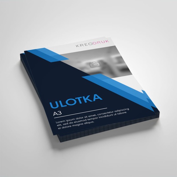 Ulotka_A3_mockup.jpg